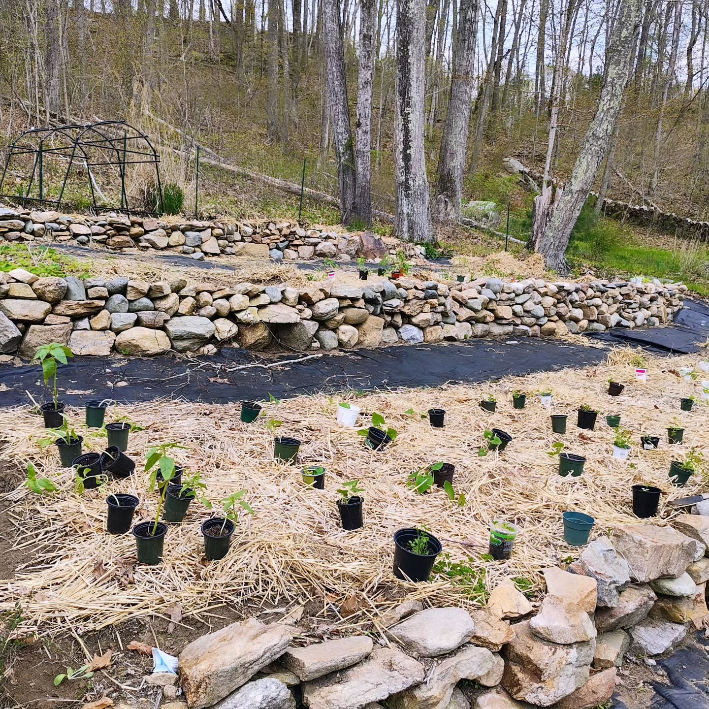 Terraced garden beds