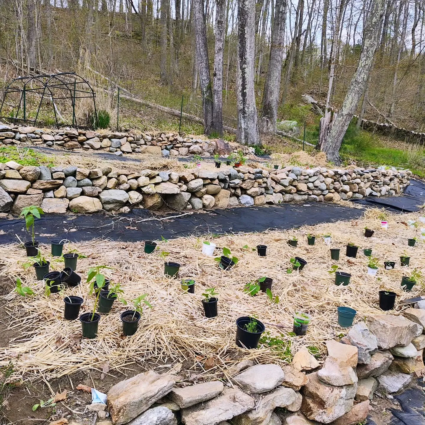 Terraced garden beds