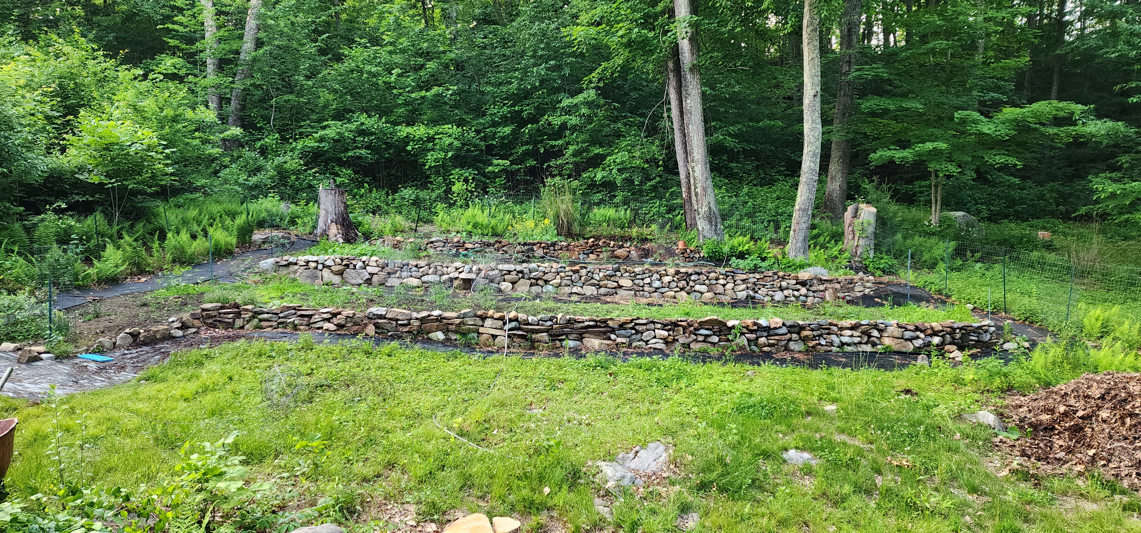 A view of the terraced garden